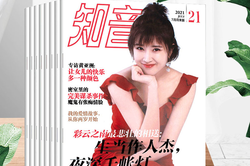 杂志 知音